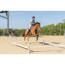 Ensemble Cavaletti Octogonal Alu 