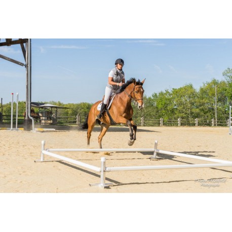 Ensemble Cavaletti Octogonal Alu 