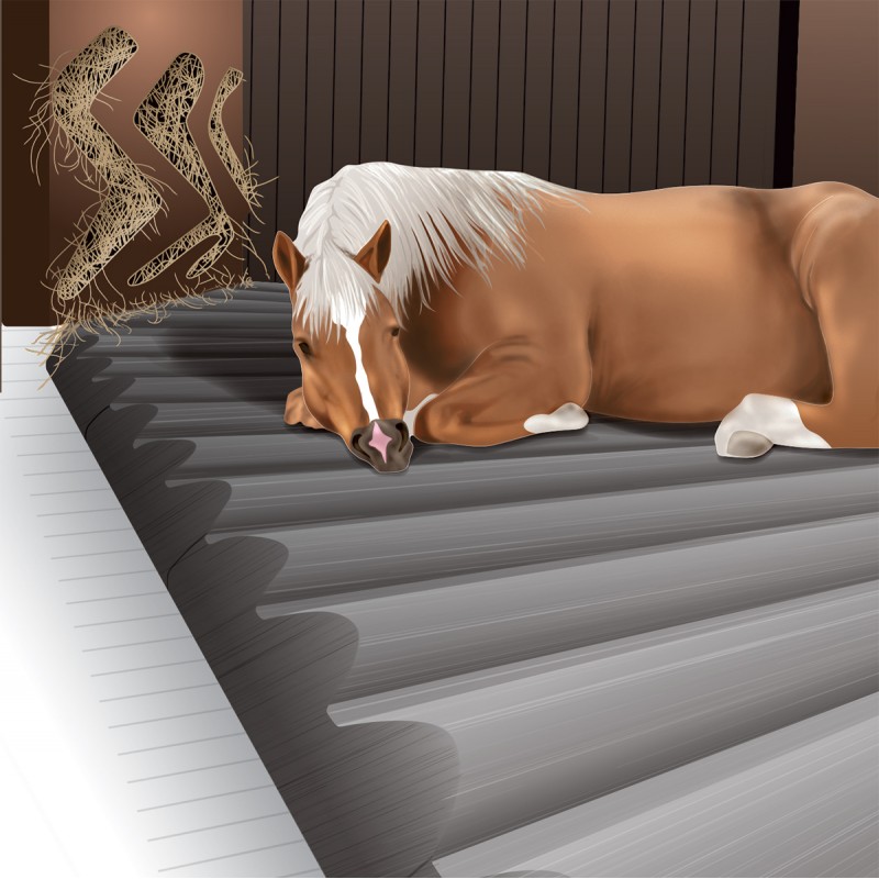 PHYSIOGOM® : Tapis de Box Chevaux isolant